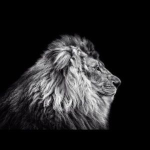 Meet your Posher, Corey